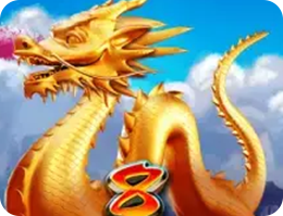 8金龍挑戰