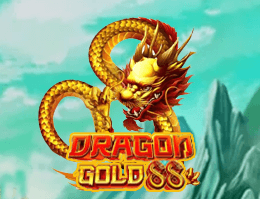 金龍88