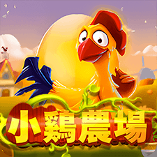 小雞農場